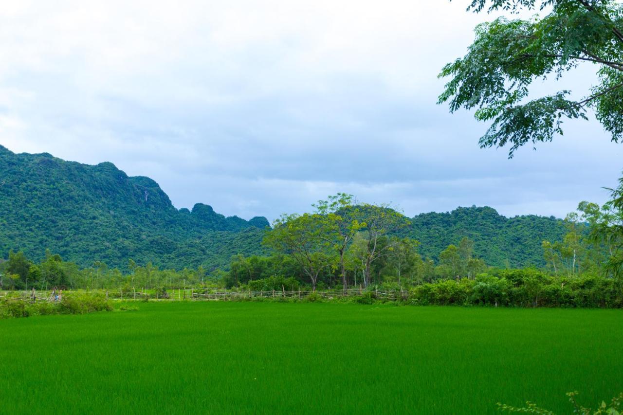 Pomelo Homestay Phong Nha Extérieur photo