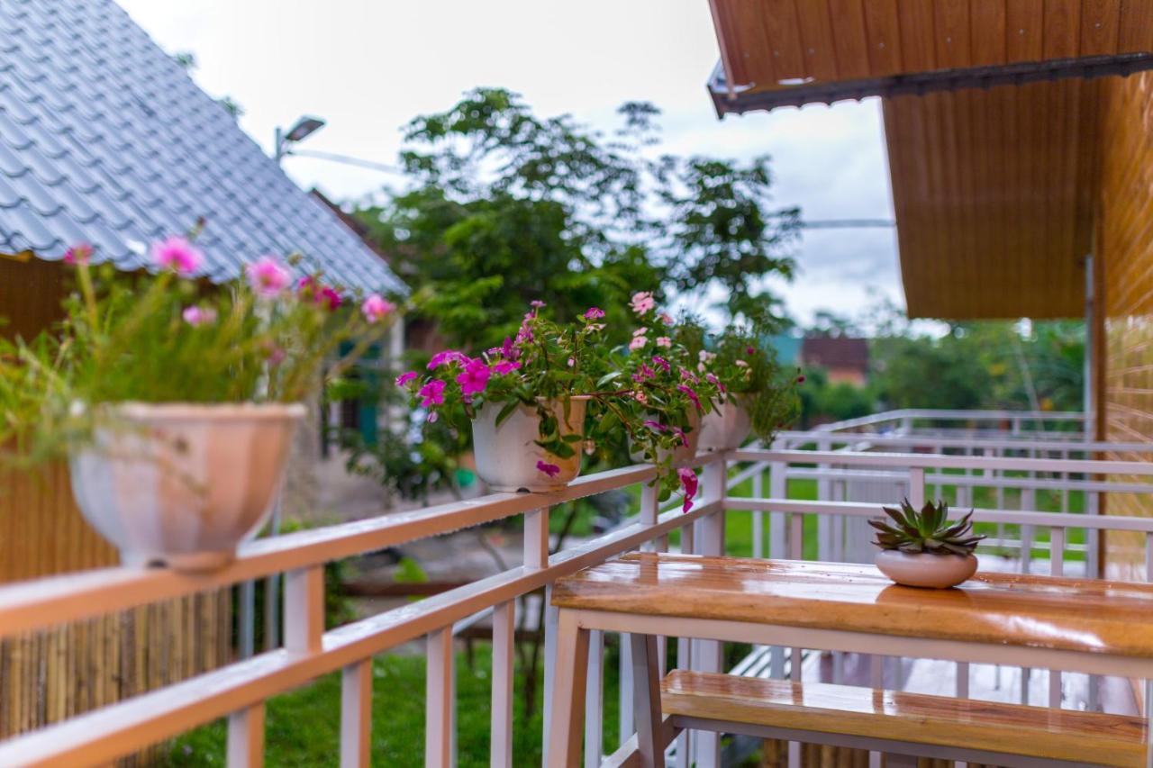 Pomelo Homestay Phong Nha Extérieur photo