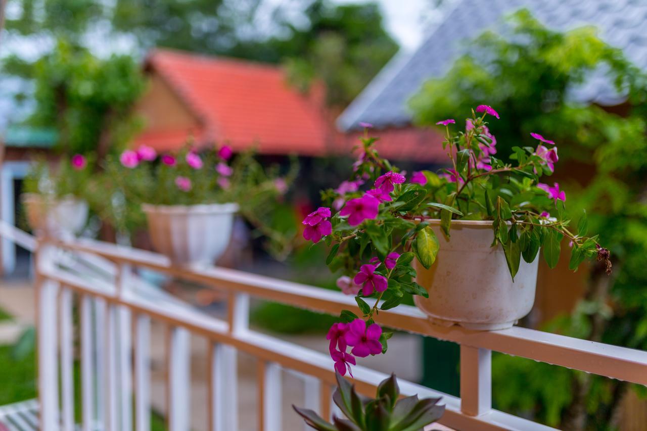 Pomelo Homestay Phong Nha Extérieur photo